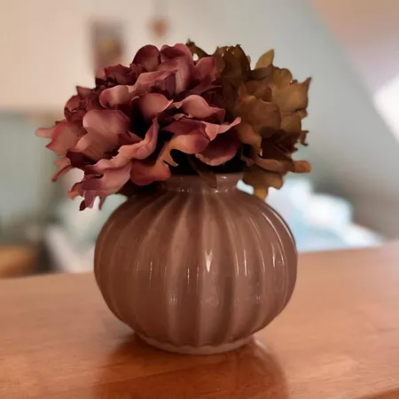 Schlossbergbutze アパート ヴェルニゲローデ